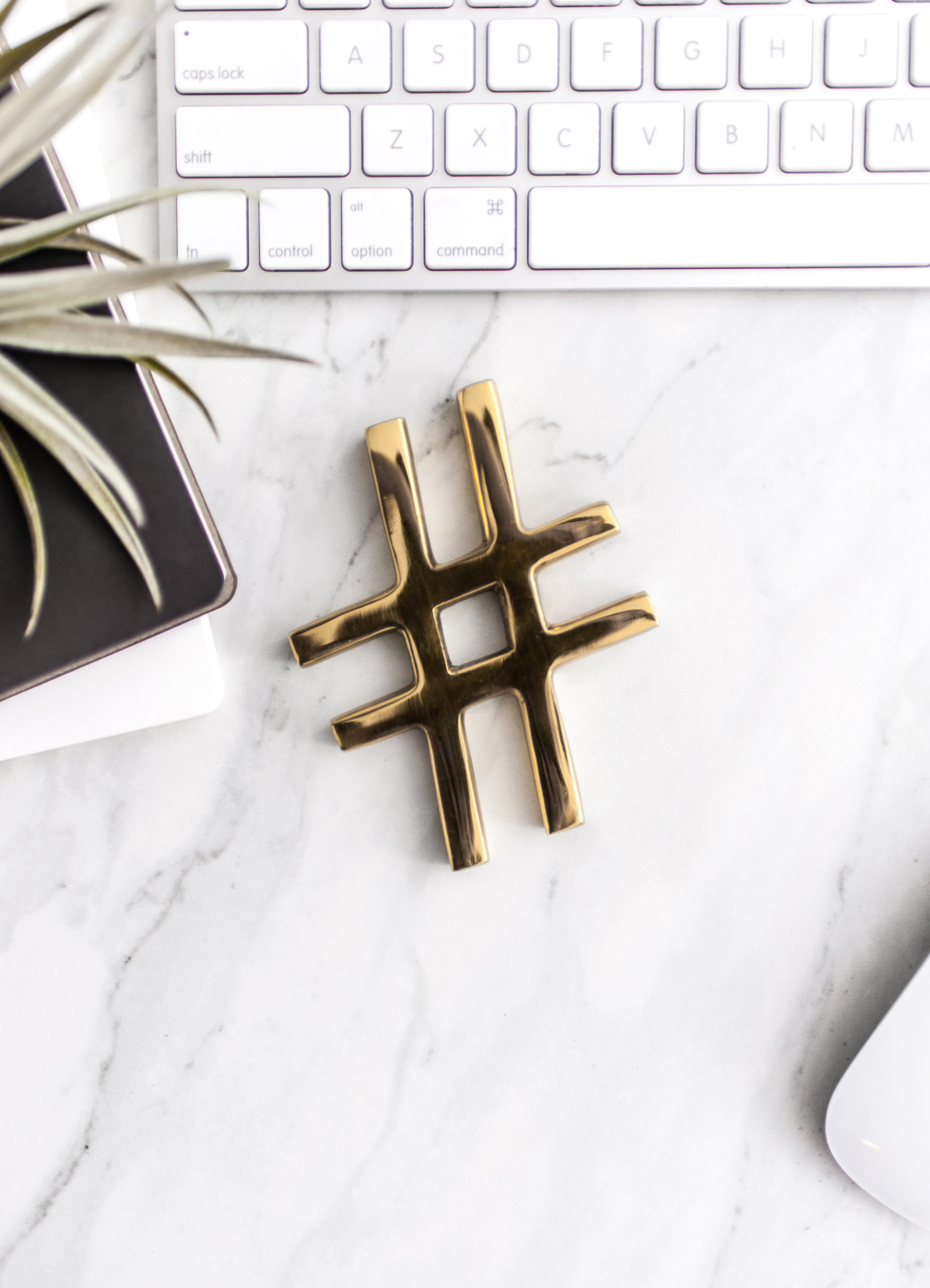 50 Must-Use Hashtags for Creative Entrepreneurs to Boost Your Instagram Engagement | Learn our best tips for using hashtags on Instagram and get our hashtag list for creative entrepreneurs on the South and Palm Blog | South & Palm Brand Studio